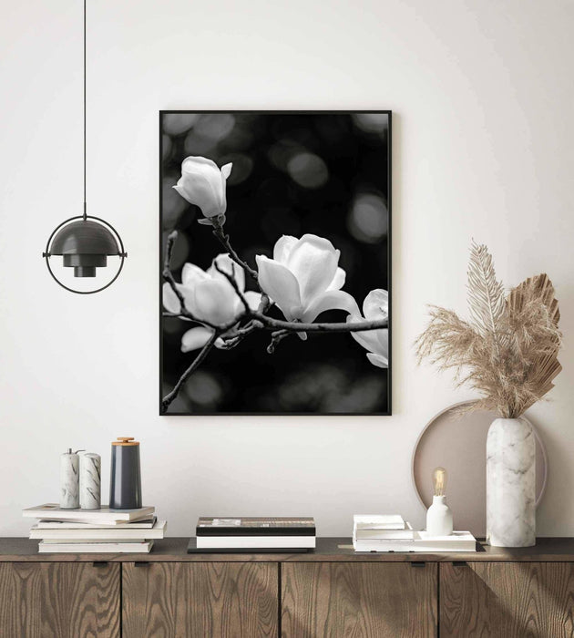 Black and White Magnolia Poster - Plakatbar.no
