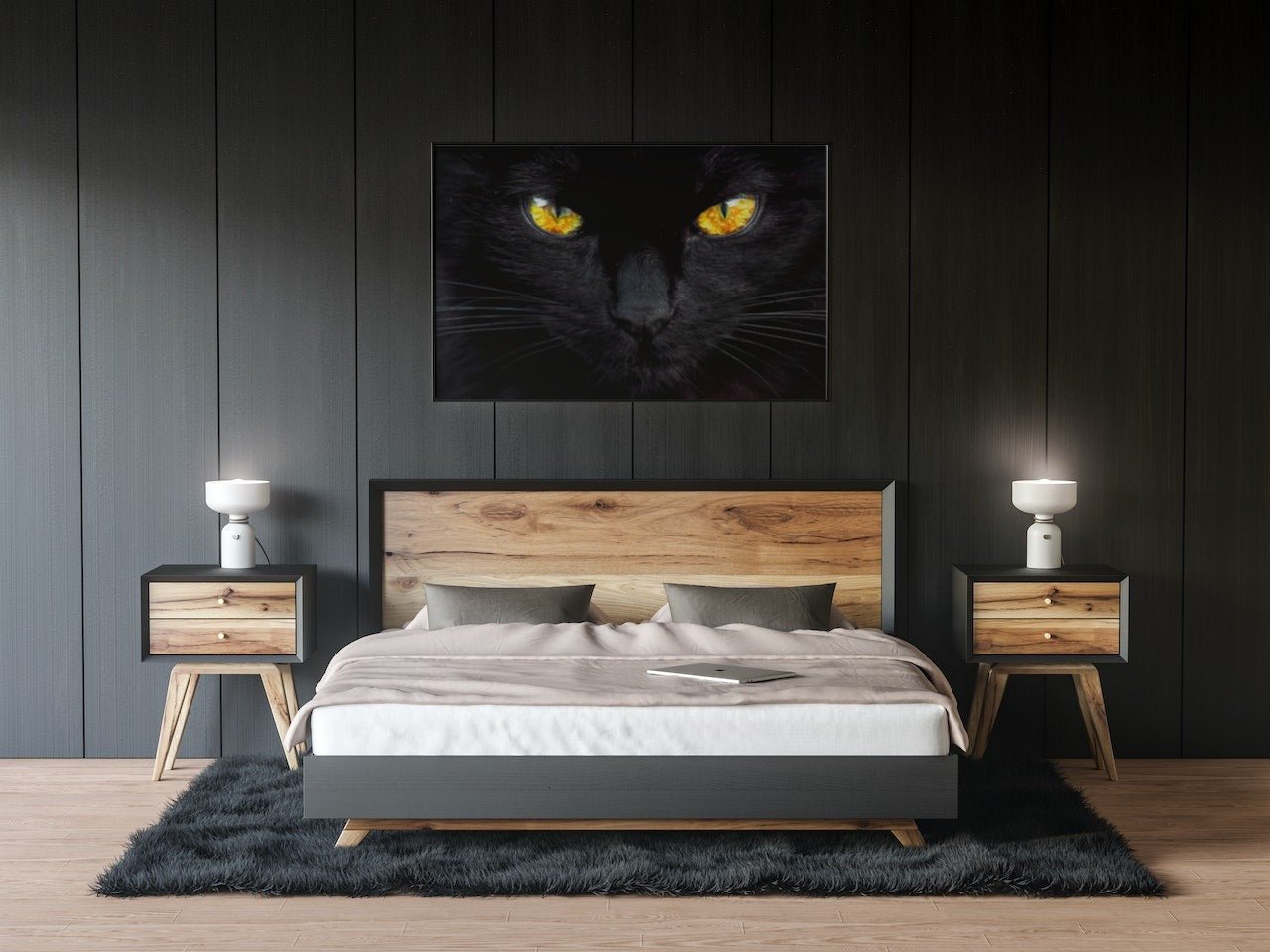 Black cat - poster - Plakatbar.no