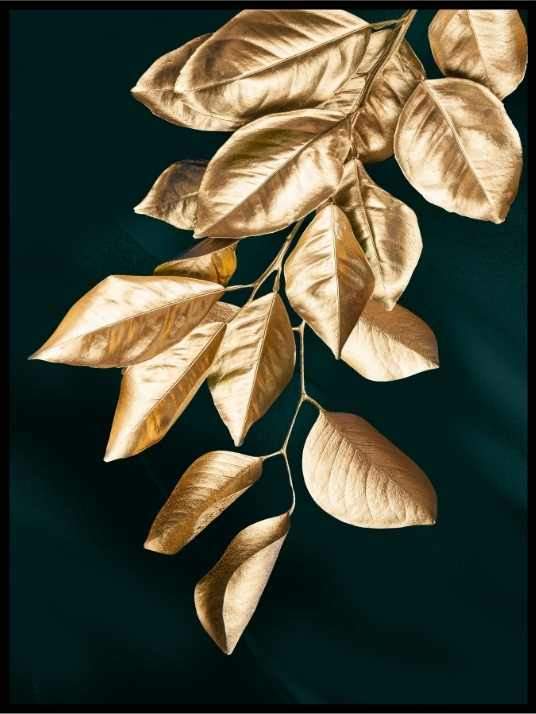 Black Gold - Golden plants sett - 3 motiver - Plakatbar.no