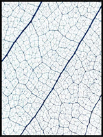 Bladtekstur - Botanisk Plakat - Plakatbar.no