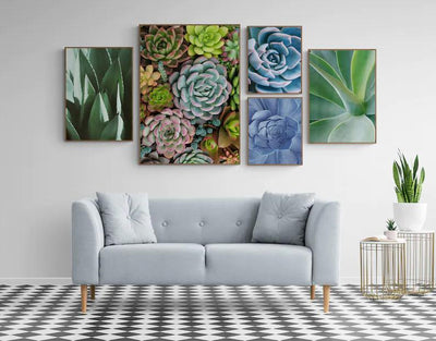 Blålilla sukkulent - Botanisk Plakat - Plakatbar.no