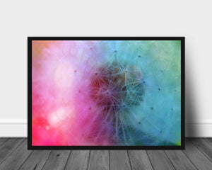 Blomsterfrø poster - Plakatbar.no