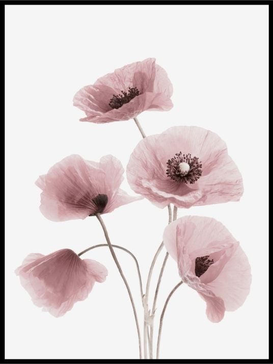 Blomsterpyd - Dekorativ plakat - Plakatbar.no