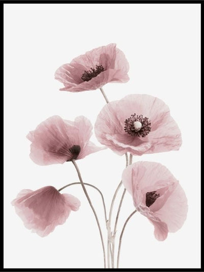 Blomsterpyd - Dekorativ plakat - Plakatbar.no