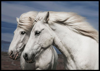 Blowing - Poster - Plakatbar.no