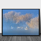 Blue swan lake poster - Plakatbar.no