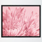 Blush Pink Flower - Botanisk Plakat - Plakatbar.no