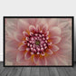 Blush poster - Plakatbar.no