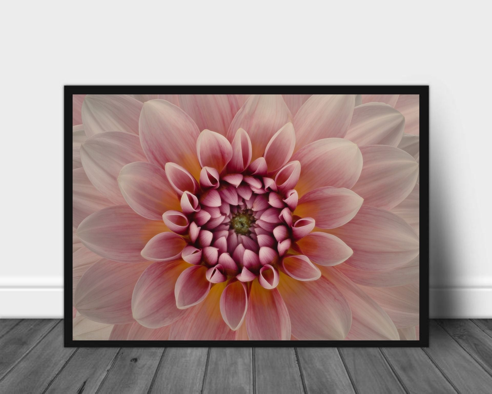 Blush poster - Plakatbar.no