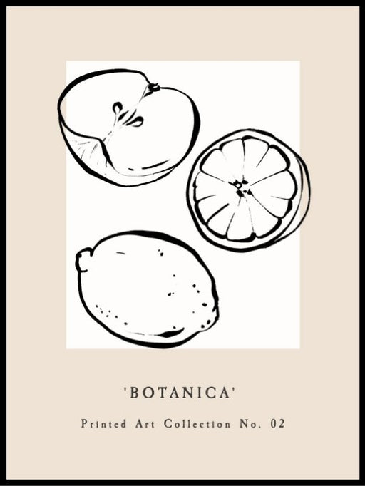Botanical Art Fruit Poster - Plakatbar.no