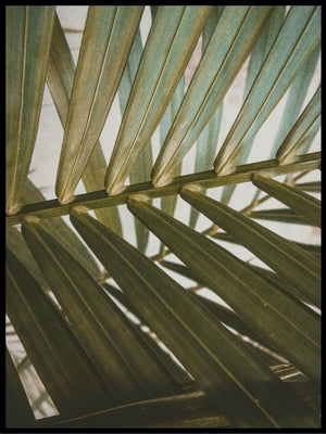 Botanical light 02 - Plakat - Plakatbar.no