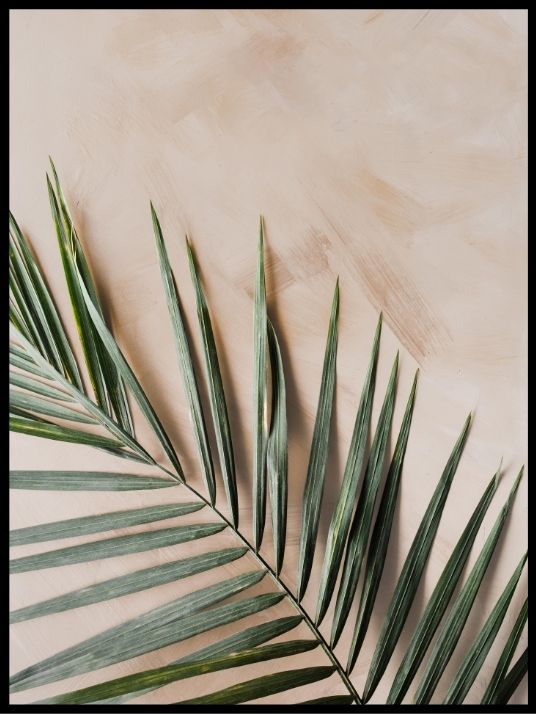 Botanical light - Plakat