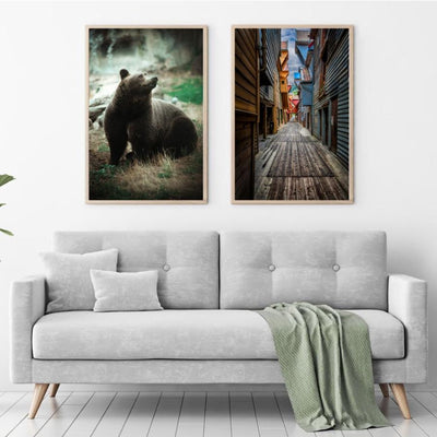 Brunbjørn poster - Plakatbar.no