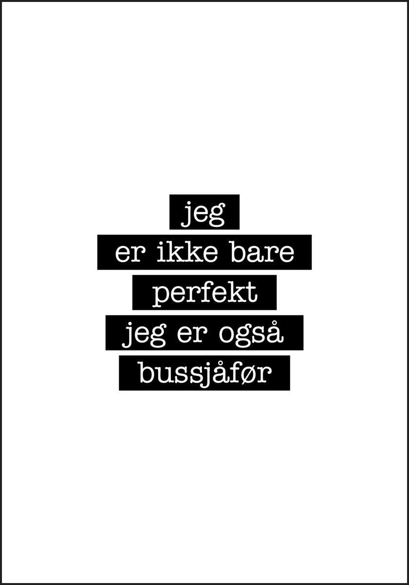 Bussjåfør - Jeg er ikke bare perfekt Plakat - Plakatbar.no