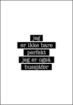 Bussjåfør - Jeg er ikke bare perfekt Plakat - Plakatbar.no