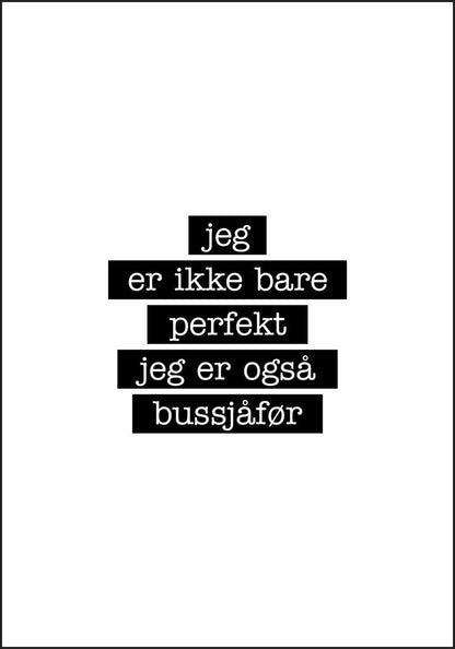 Bussjåfør - Jeg er ikke bare perfekt Plakat - Plakatbar.no
