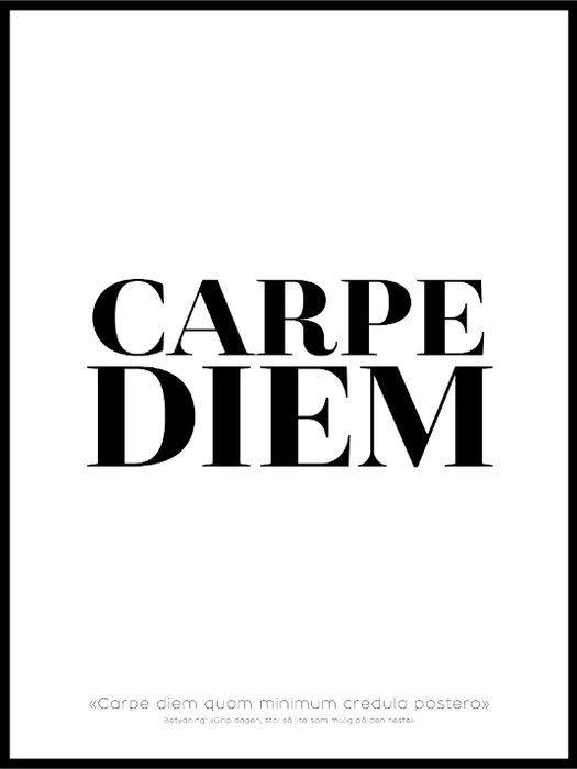 Carpe Diem poster - Plakatbar.no