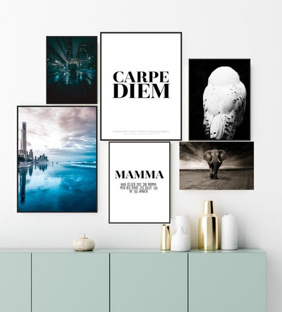 Carpe Diem poster - Plakatbar.no