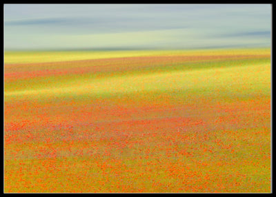 Castelluccio colors poster - Plakatbar.no