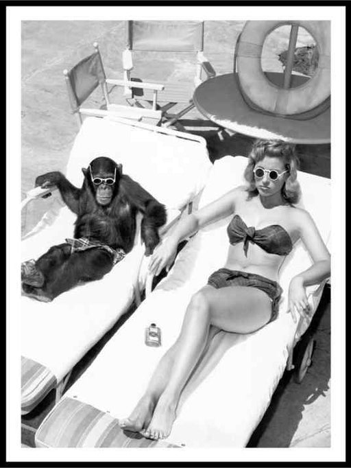 Chimpanzee and woman Poster - Plakatbar.no