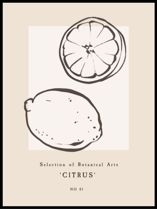 Citrus art poster