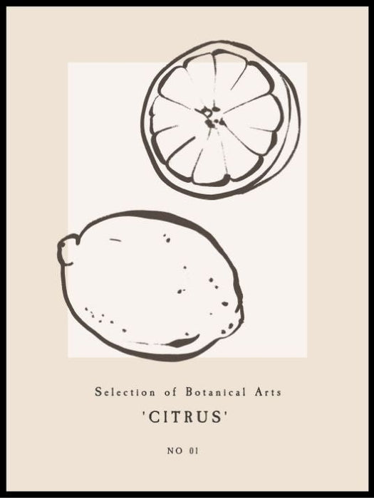 Citrus art poster - Plakatbar.no