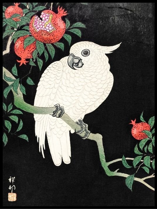 Cockatoo and Pomegranate, Ohara Koson- Plakat