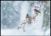 Colors of winter poster - Plakatbar.no