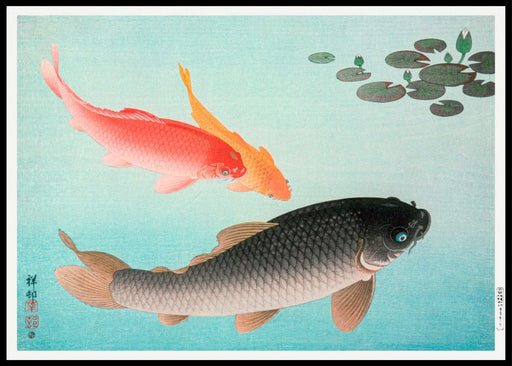 Common and Golden Carp, Ohara Koson- Plakat - Plakatbar.no