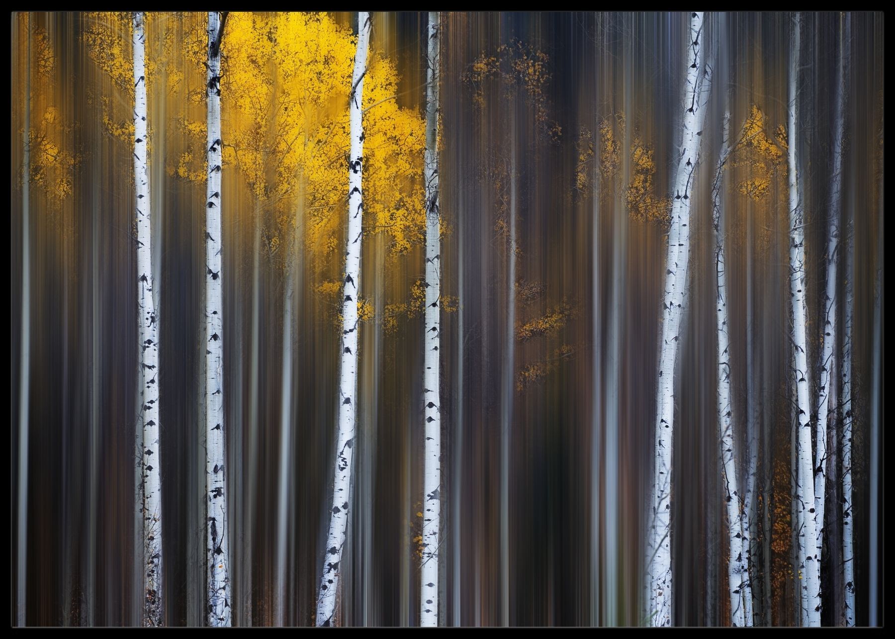 Curtain of fall poster - Plakatbar.no