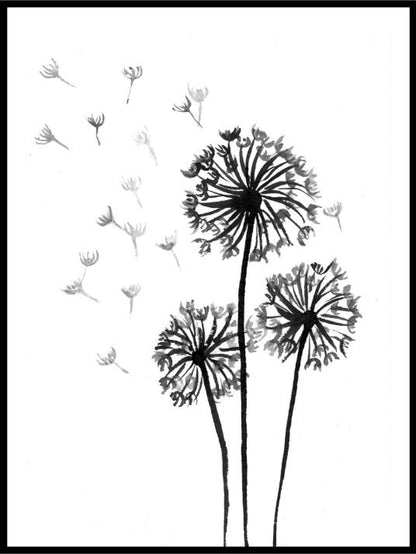 Dandelion Hand Draw Poster - Plakatbar.no