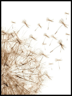 Dandelion Wildflowers Plakat - Plakatbar.no
