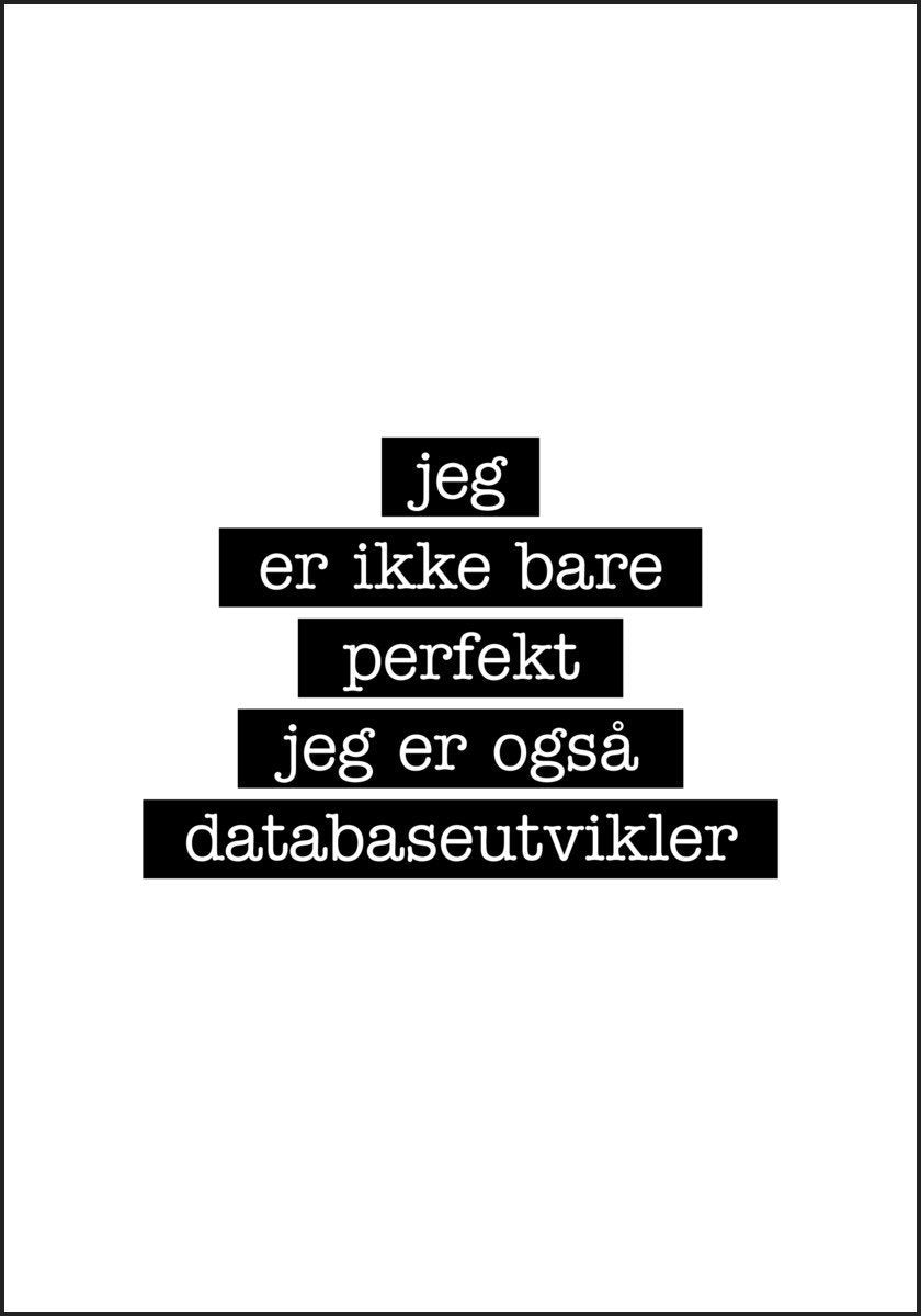 Databaseutvikler - Jeg er ikke bare perfekt Plakat - Plakatbar.no