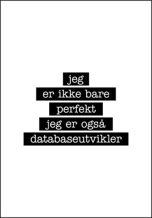 Databaseutvikler - Jeg er ikke bare perfekt Plakat - Plakatbar.no