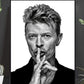 David Bowie - Ikonisk plakat - Plakatbar.no
