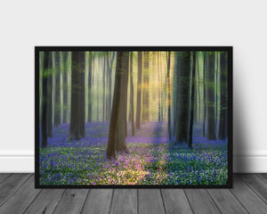 Daydreaming og bluebells poster - Plakatbar.no