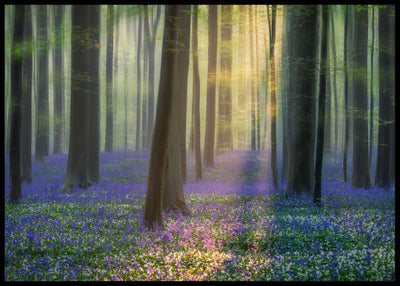 Daydreaming og bluebells poster - Plakatbar.no