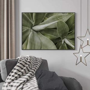 Dekorativ grønn plante - Botanisk Plakat - Plakatbar.no