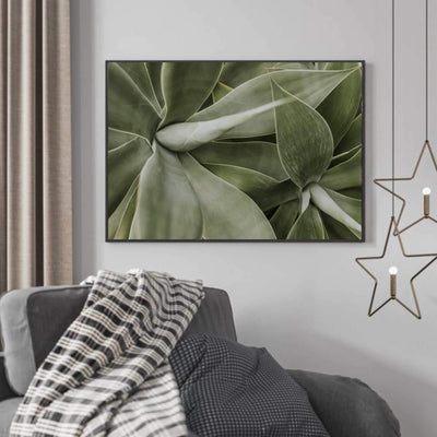 Dekorativ grønn plante - Botanisk Plakat - Plakatbar.no