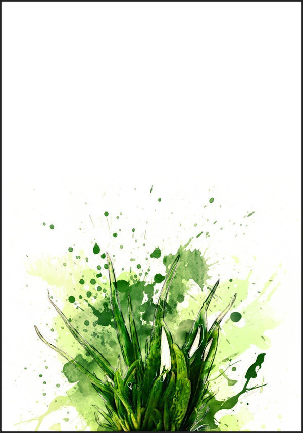 Dekorativ plakat fra planteriket - Plakatbar.no