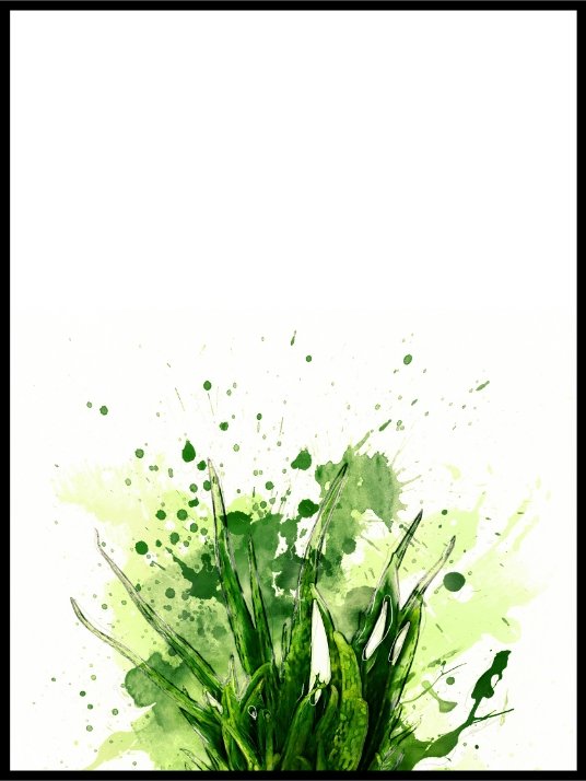 Dekorativ plakat fra planteriket - Plakatbar.no