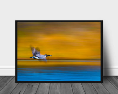 Dream couple poster - Plakatbar.no