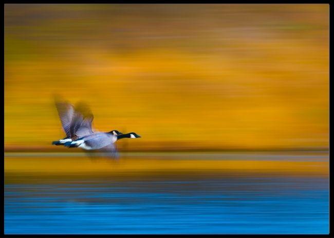 Dream couple poster - Plakatbar.no