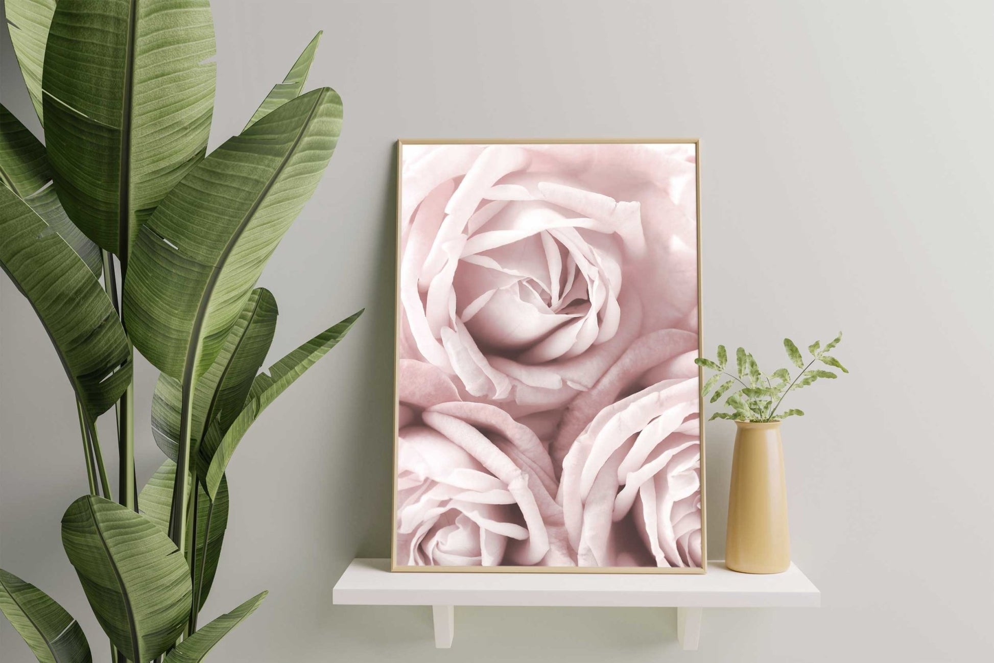 Dream of roses - Poster - Plakatbar.no