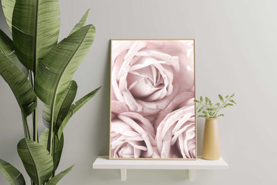 Dream of roses - Poster - Plakatbar.no