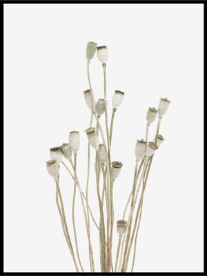 Dried bouquet - Plakat - Plakatbar.no