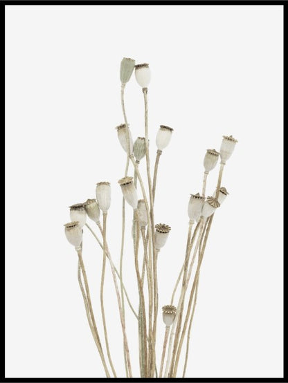 Dried bouquet - Plakat - Plakatbar.no
