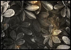 Dvergparaply tre - Botanisk plakat - Plakatbar.no
