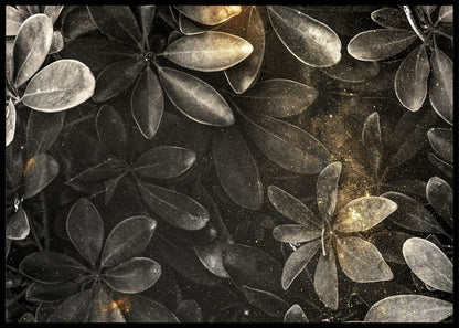 Dvergparaply tre - Botanisk plakat - Plakatbar.no