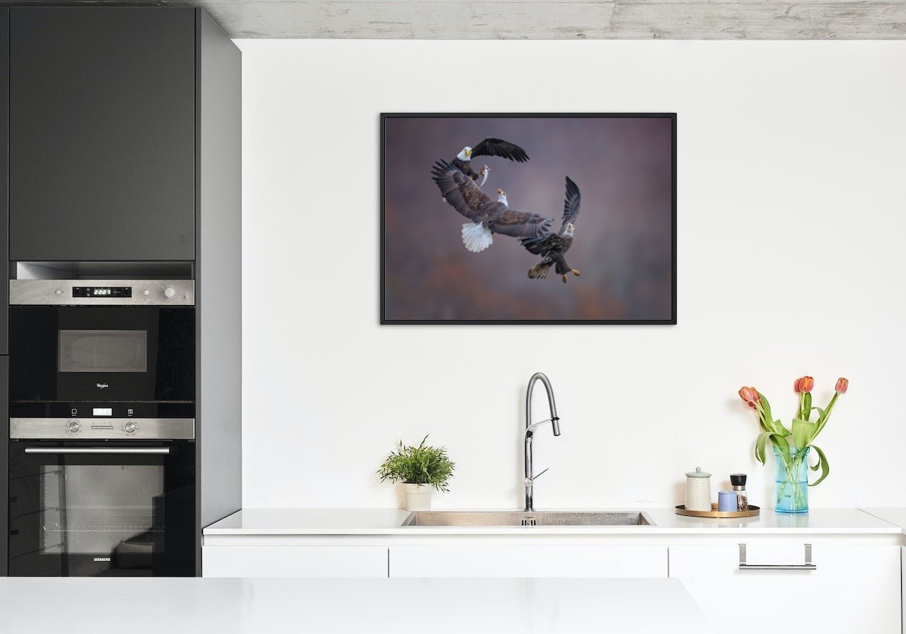 Eagle family - poster - Plakatbar.no